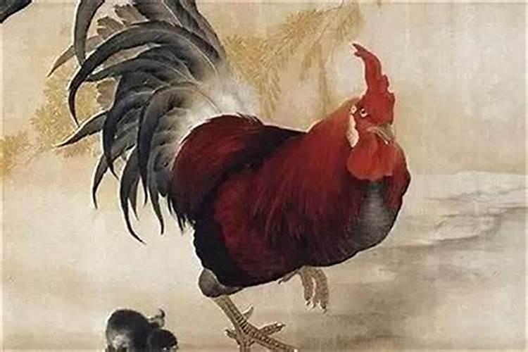 虎年本命年戴什么 虎年本命年戴什么首饰好