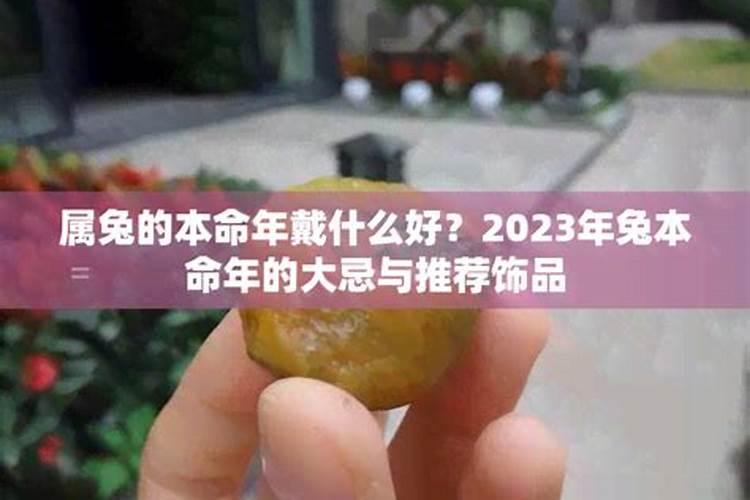 属兔的人适合戴什么翡翠兔年本命年戴什么翡翠