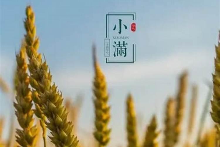 夏至出生的女孩 先苦后甜厚积薄发？