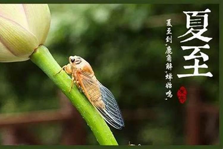 夏至出生的女孩好不好命理与名字简析