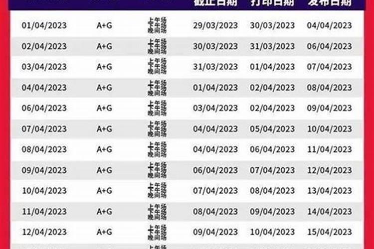 属龙的人养什么宠物最好