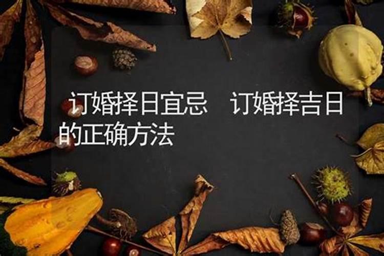 属龙的人适合养哪些宠物属相龙的人适宜养什么宠物