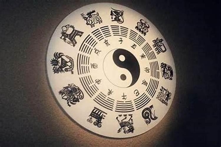 属兔本命年家里摆什么 属兔人家里摆什么旺财