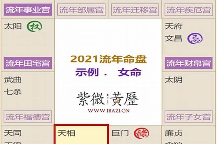 紫微星2025年6月运势