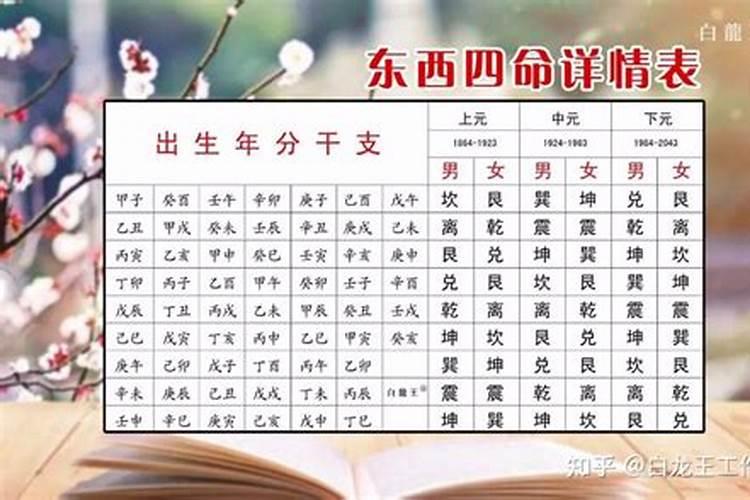 东四命西四命是什么