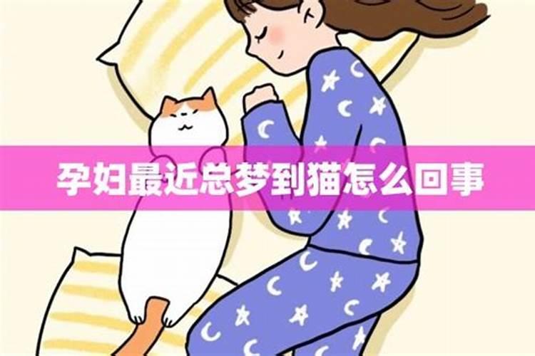 孕妇梦到猫预示什么？