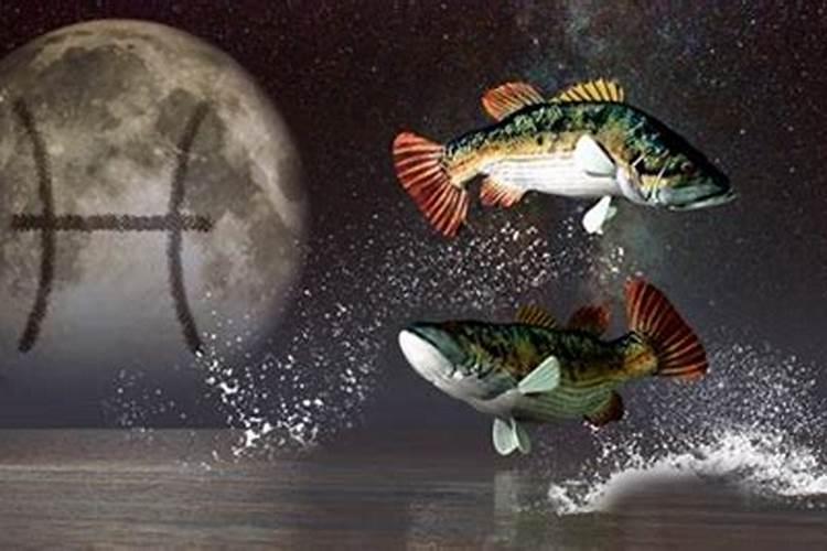双鱼座的情商和智商