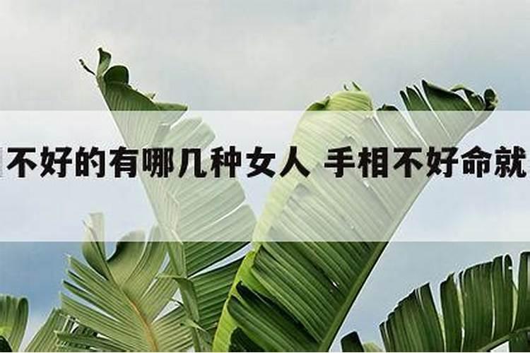 怎么查看自己有没有大学生医保？