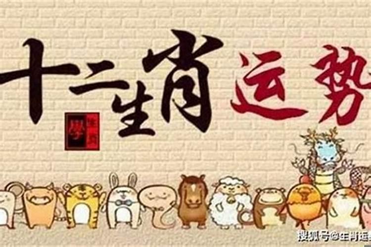 冬至节主要习俗不包括什么