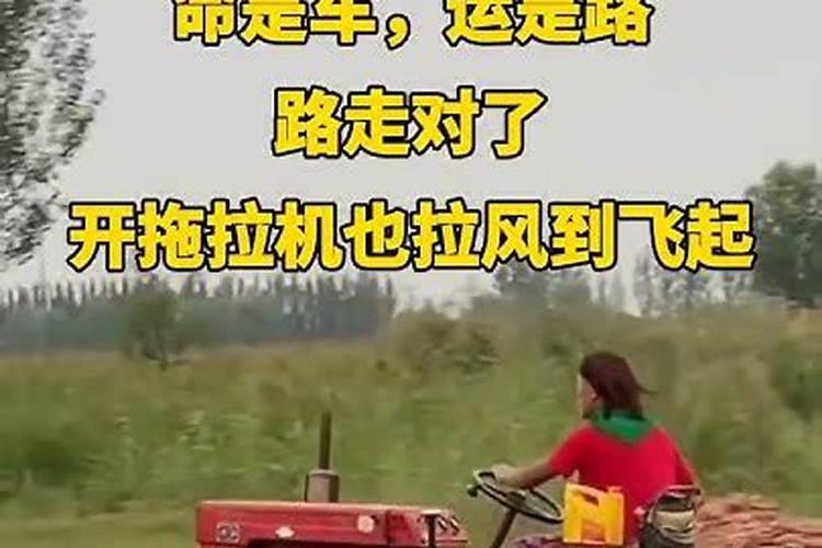女人梦到自己和好多人在吃饭