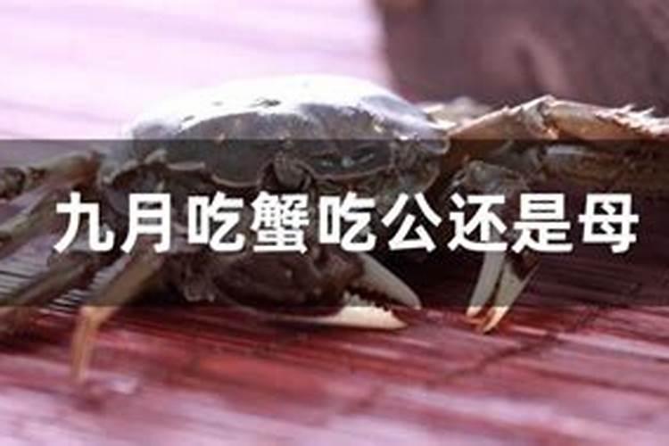生辰八字是什么 如何算