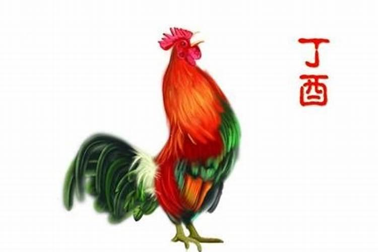 17年属鸡的是什么命