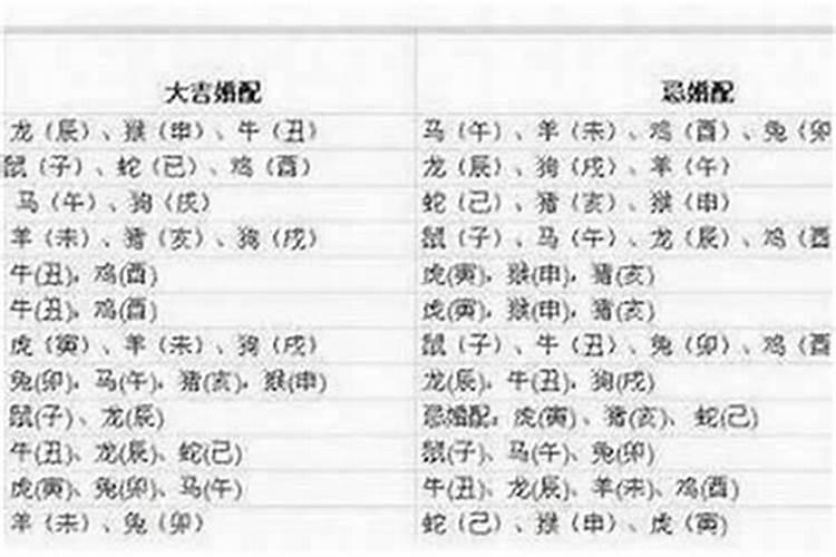 兔子和狗属相合不合 87兔和94狗都是火吗？