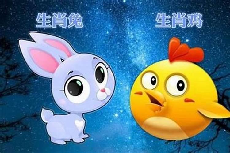 属鸡和属兔真的不能结婚吗