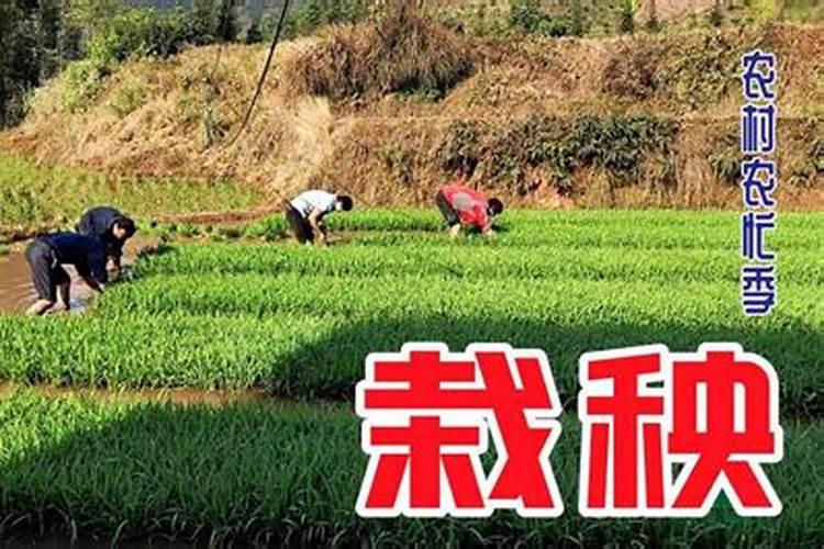 哪位古代名人是腊八节生日的