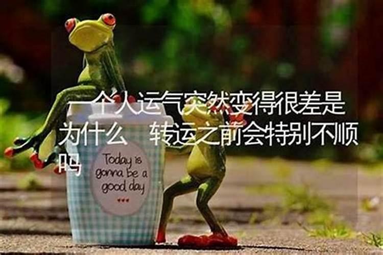 2025年6月12号属蛇人的运气