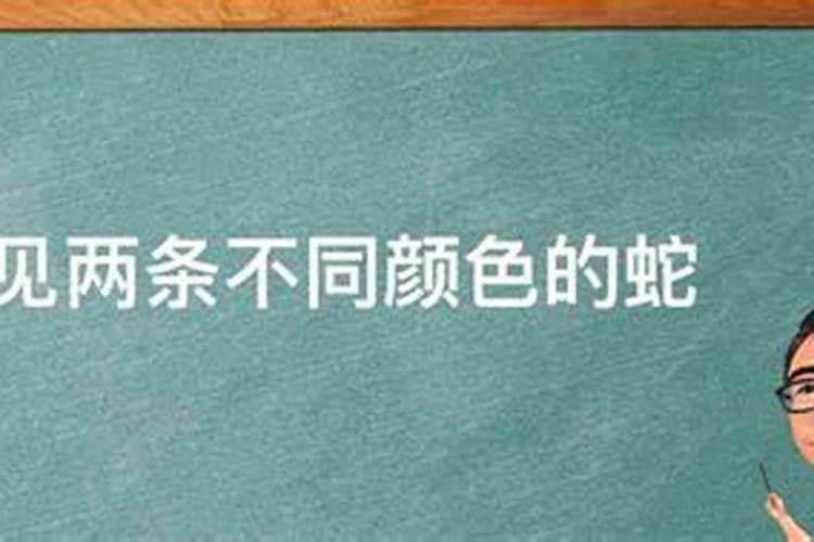 梦见摩托车骑的很快心里害怕的预兆