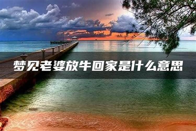 梦见分居一个月的老婆回家面带笑容？
