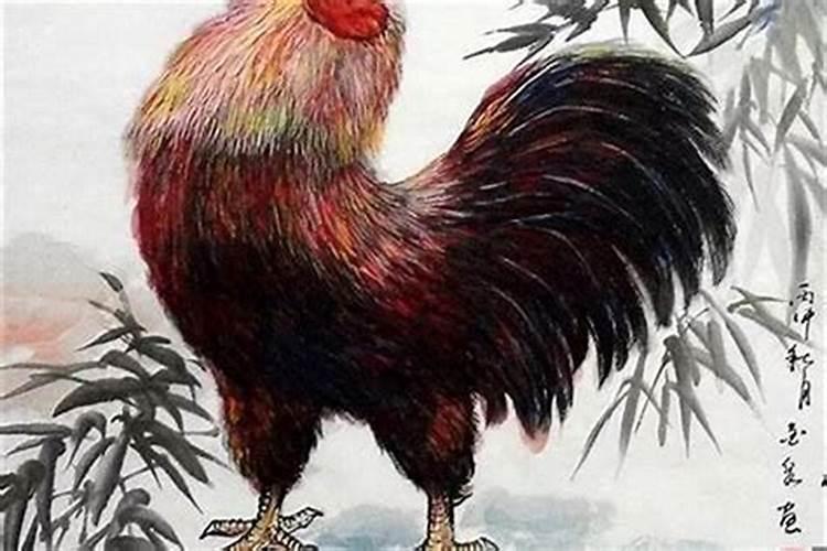 属鸡人相冲相害的属相是谁