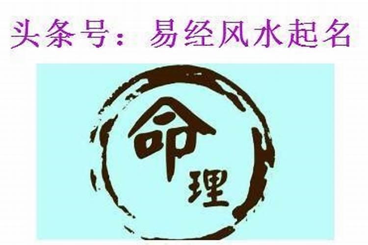丙申日柱女命的命理解析