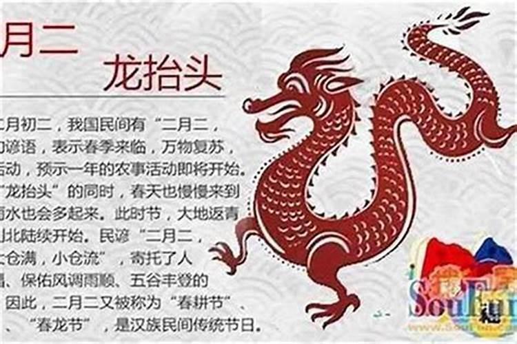 农历10月出生属蛇人命好吗