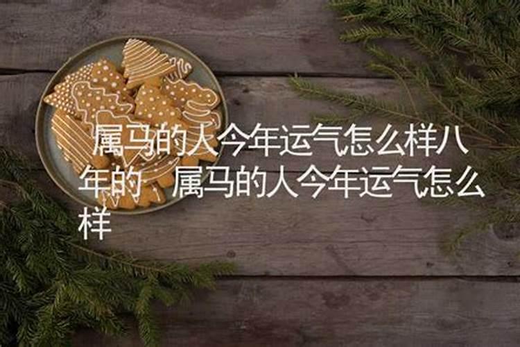 属兔人2024年全年运势运程详解