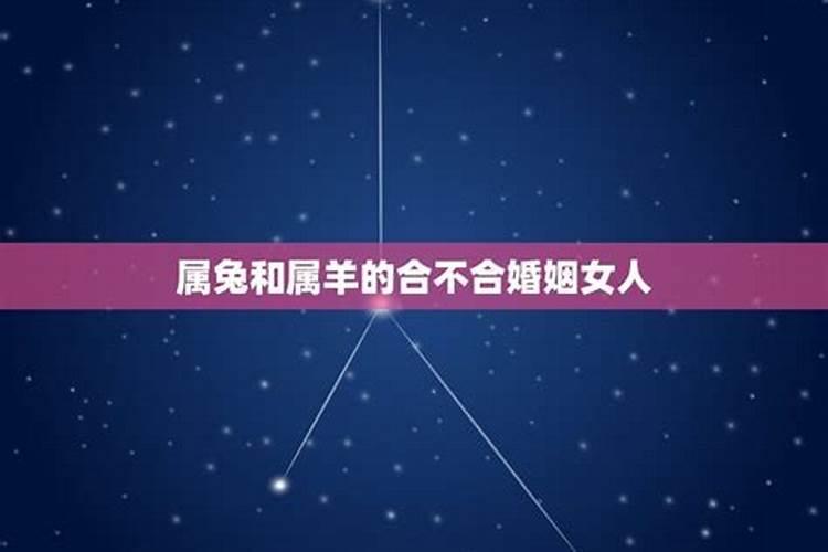 男友属羊,我属兔,算命的说我们两个命里不相生什么意思？