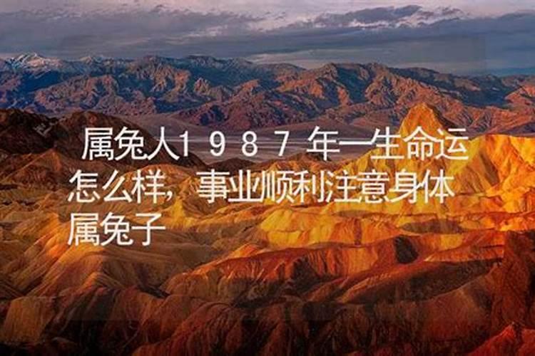 丁卯年生炉中火命1987阴历腊月初一阳历1月19日女孩属兔早上5点—7点左...