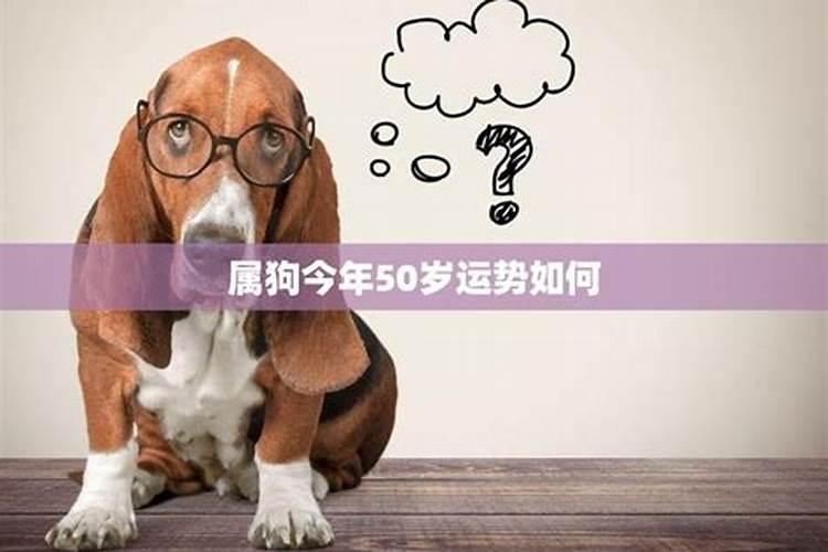 属狗女五十岁今年命运