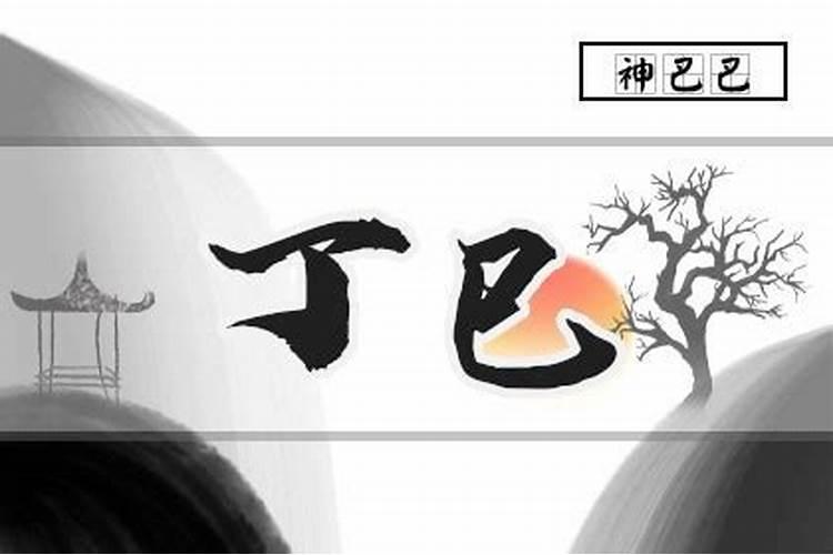 生肖兔2025运势详解