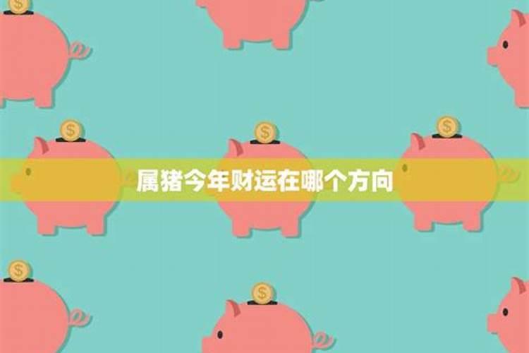 属猪今日运势怎么样