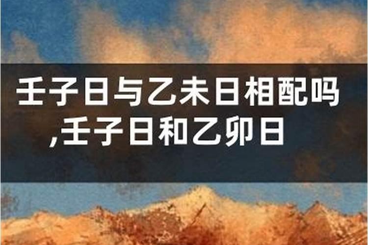 六己日出生男女八字合婚表