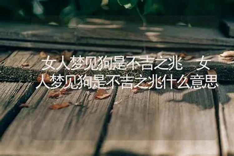 女人梦见狗的寓意 女人梦到狗是什么意思