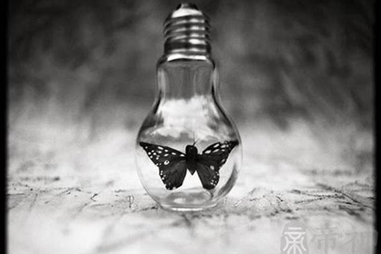 梦到丢东西什么预兆