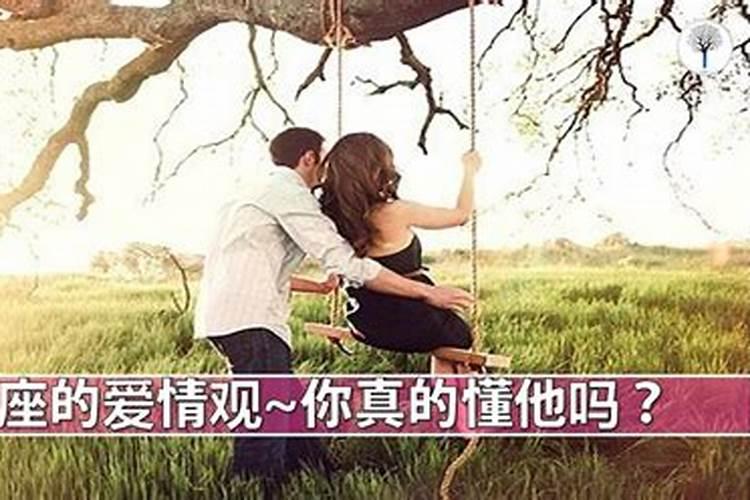 12星座女人的黑暗爱情观