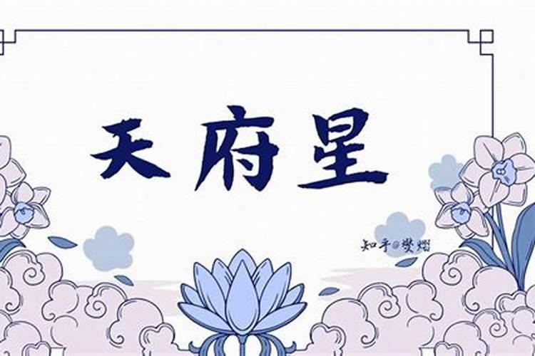 命宫天府