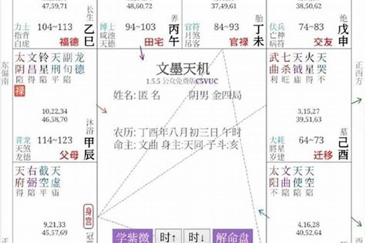 紫微命盘解析——紫微、天府于寅申宫守命