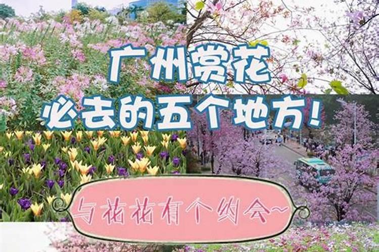 1988龙女2025年每月运势