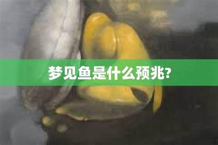 1977年属蛇的人2025年的运势及运程