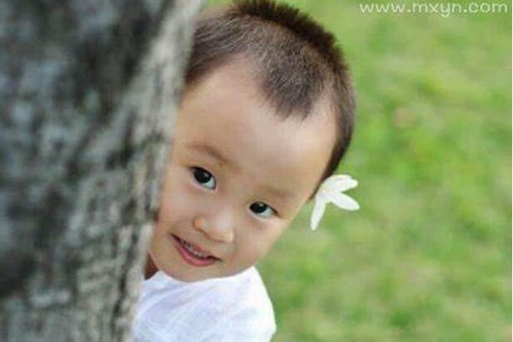 梦到小男孩什么预兆