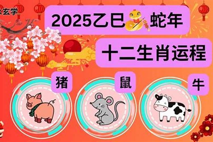 属猪的财位最旺的位置