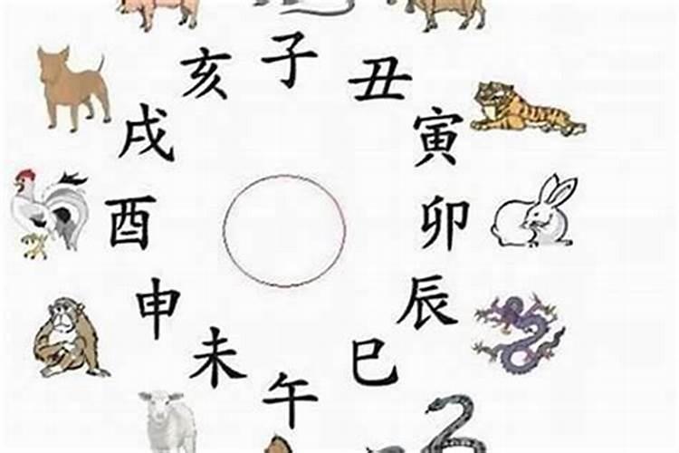最招财的生肖有哪些？你是其中之一吗？