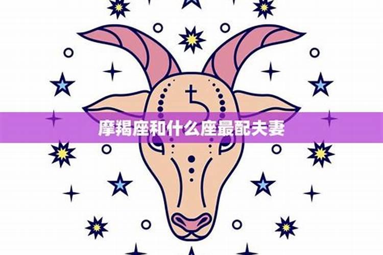 属马人2025年全年运势运程