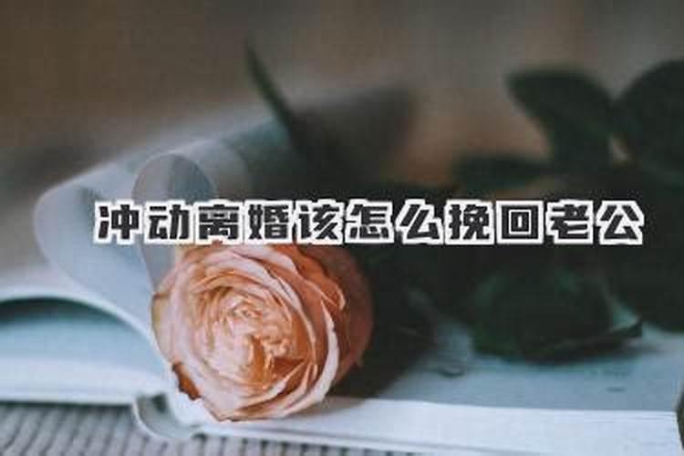 属虎的蛇年犯太岁吗