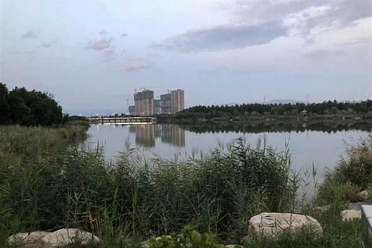 阴历八月十二日是什么日子