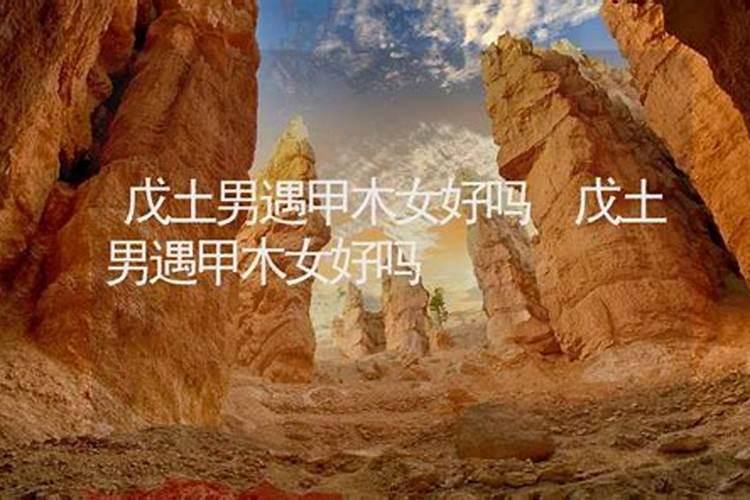 戊土为什么最怕乙木容易发生不顺