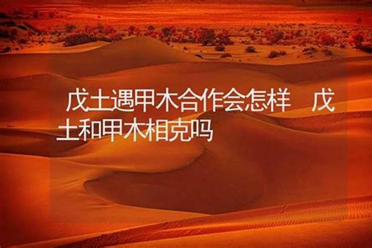 戊土为什么最怕乙木容易发生不顺
