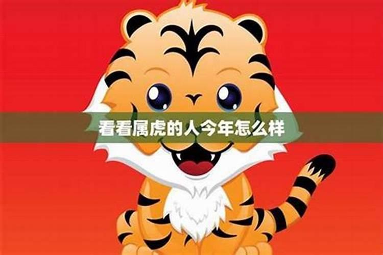属虎女转运适合佩戴什么