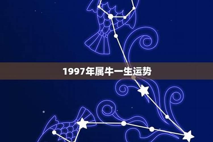1997属牛一生三大劫难在何时命运详细解析