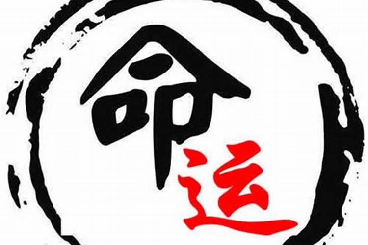 1996年2月鼠的命运,1986年虎2022 年运势